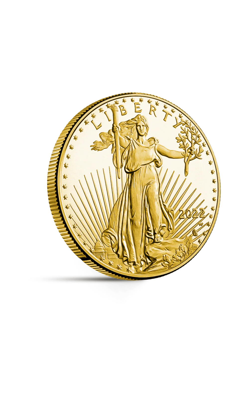 Pièce 25 Dollars American Eagle - Image 3