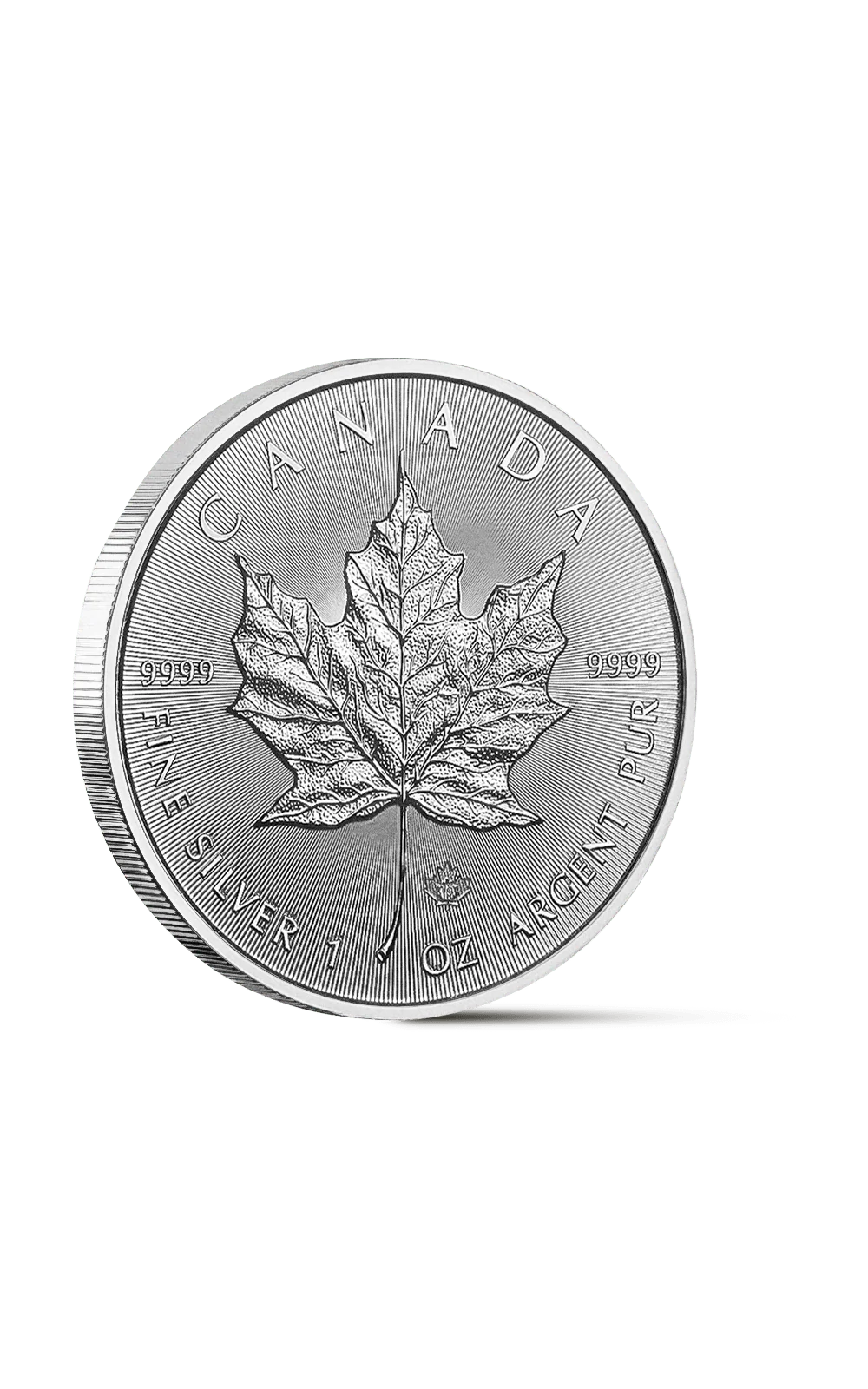 Pièce Maple Leaf 1 Once Argent - Image 3