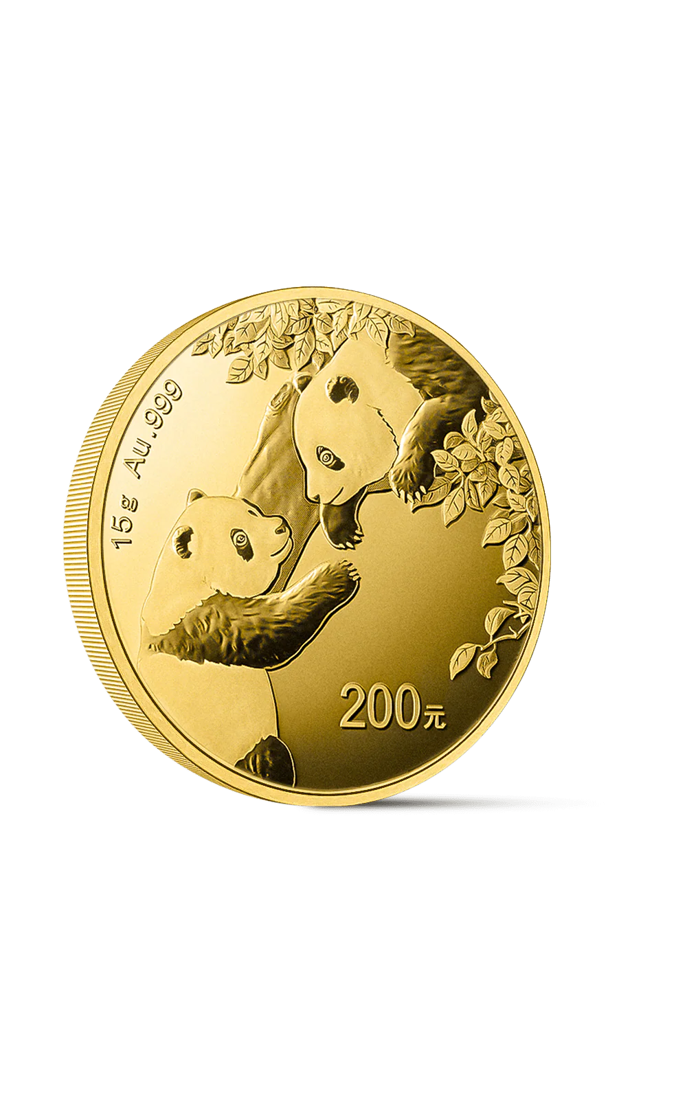 Pièce Panda 15g Or - Image 3